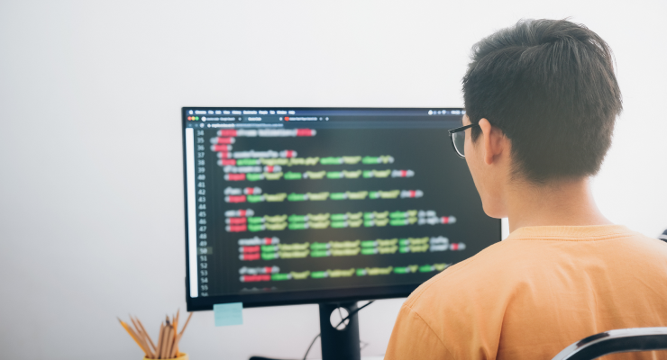 Illustration showing WordPress development services